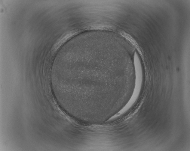 X0000061720577200512231411