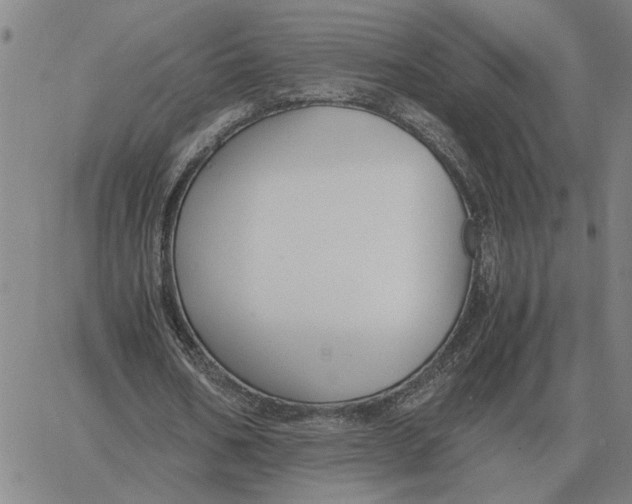 X0000061720578200512231411