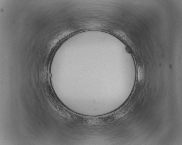 X0000061720579200512231411