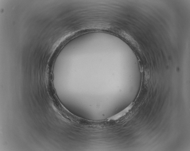 X0000061720580200512231411