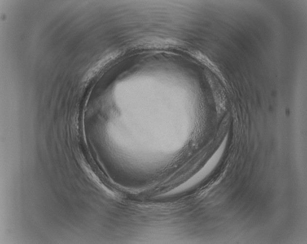 X0000061720581200512231411