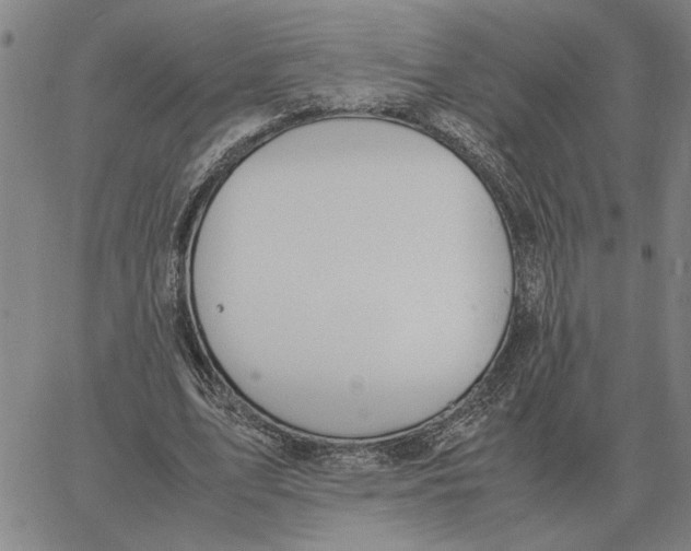 X0000061720583200512231411