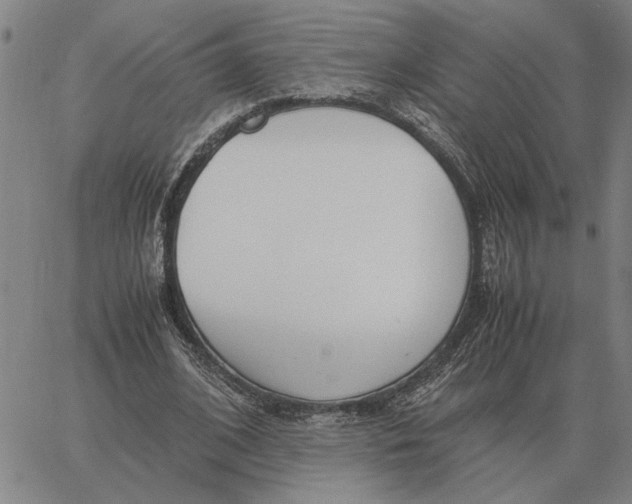 X0000061720584200512231411