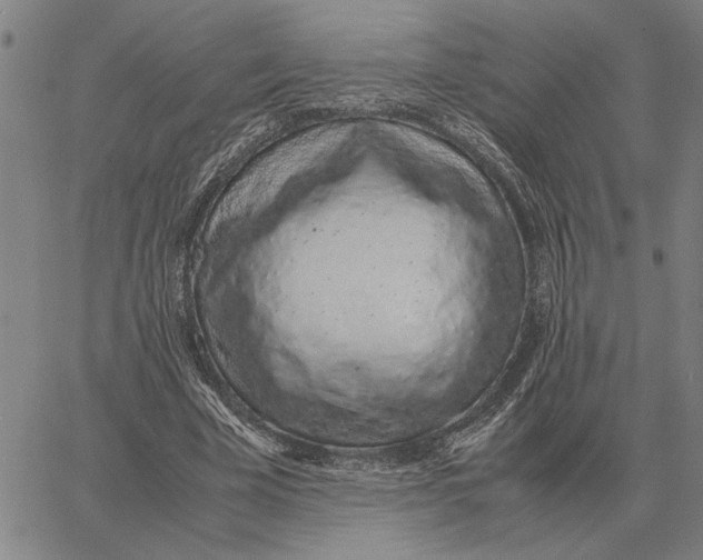 X0000061720585200512231411