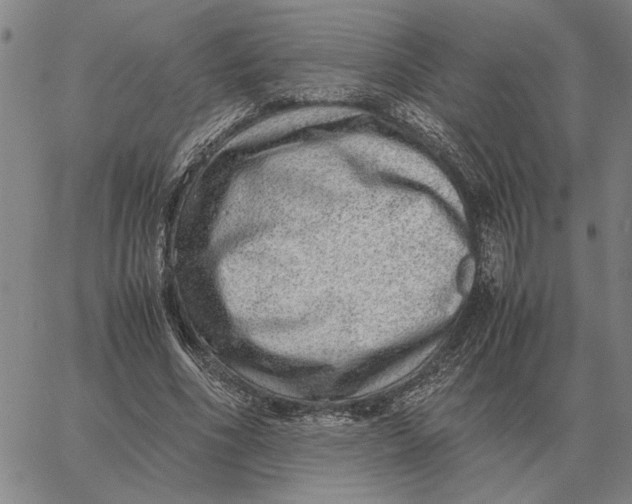 X0000061720586200512231411