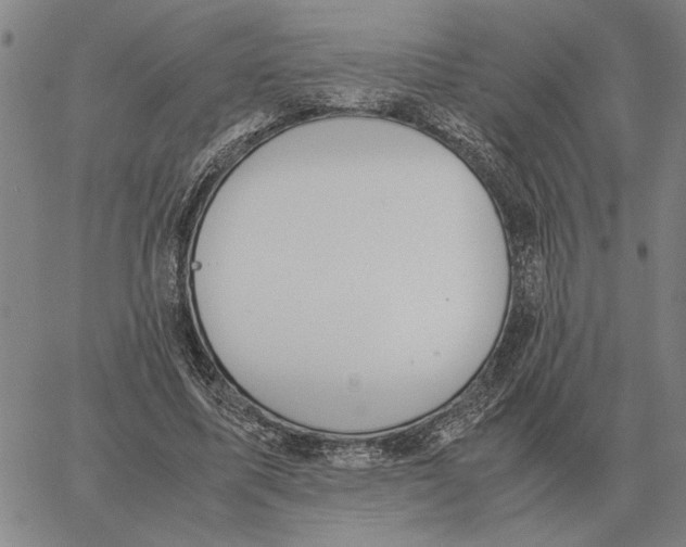 X0000061720587200512231410