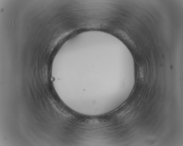 X0000061720588200512231410