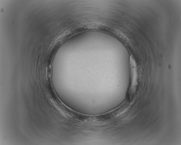 X0000061720589200512231410