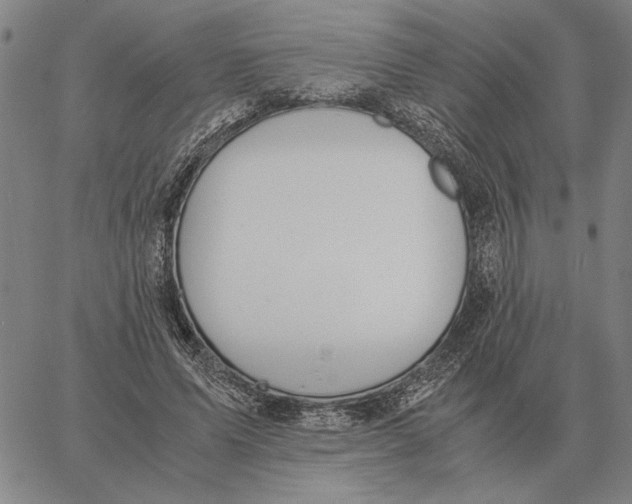 X0000061720591200512231410