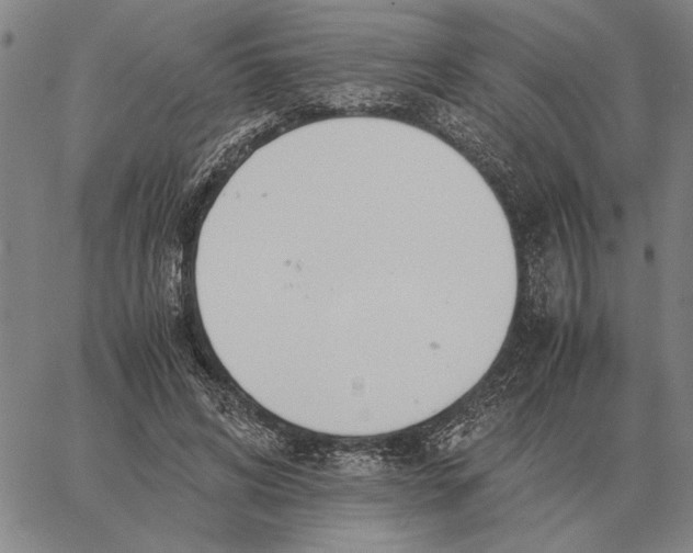 X0000061720592200512231410