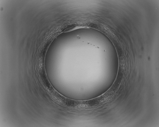 X0000061720593200512231410