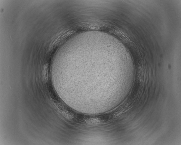 X0000061720594200512231410