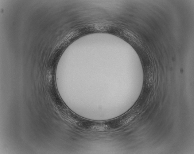 X0000061720595200512231410