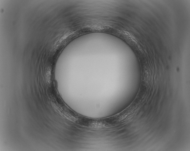 X0000061720596200512231410