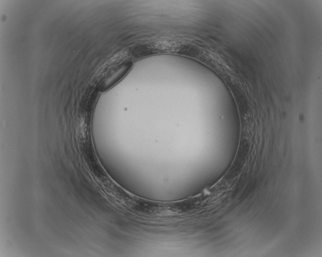 X0000061720597200512231410