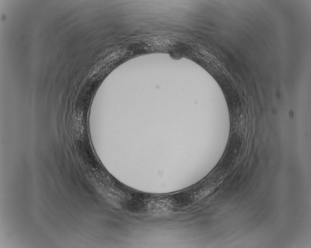 X0000061720599200512231410