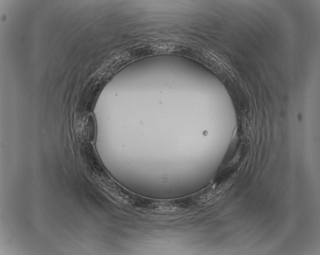 X0000061720601200512231410