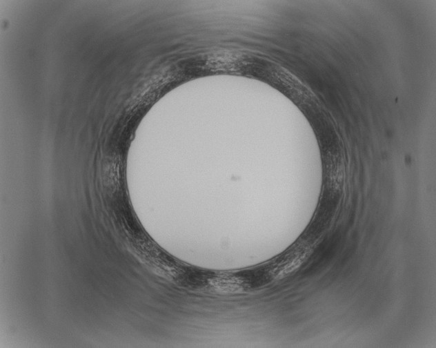 X0000061720603200512231410