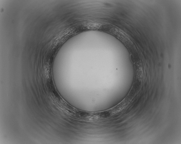 X0000061720604200512231410