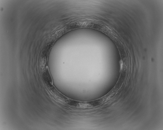 X0000061720605200512231410