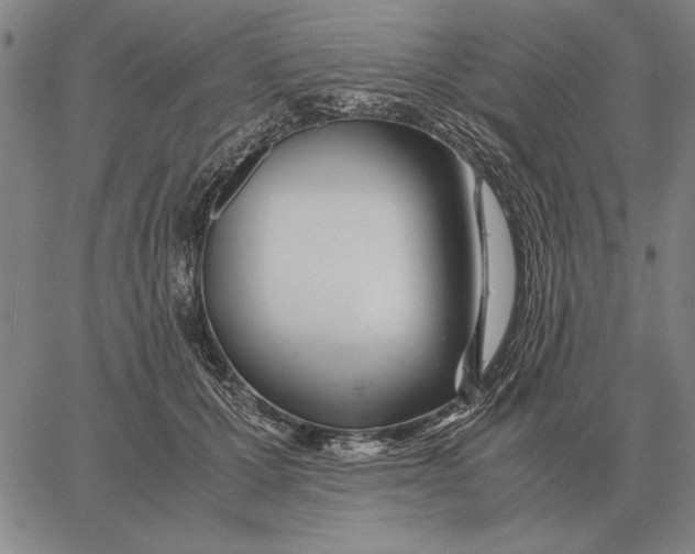 X0000061720607200512231410