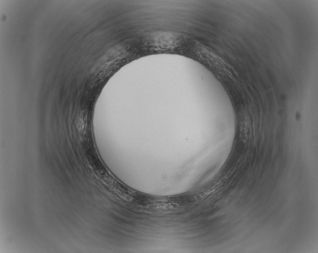 X0000061720608200512231410