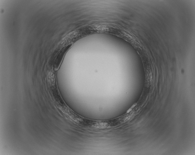 X0000061720609200512231410