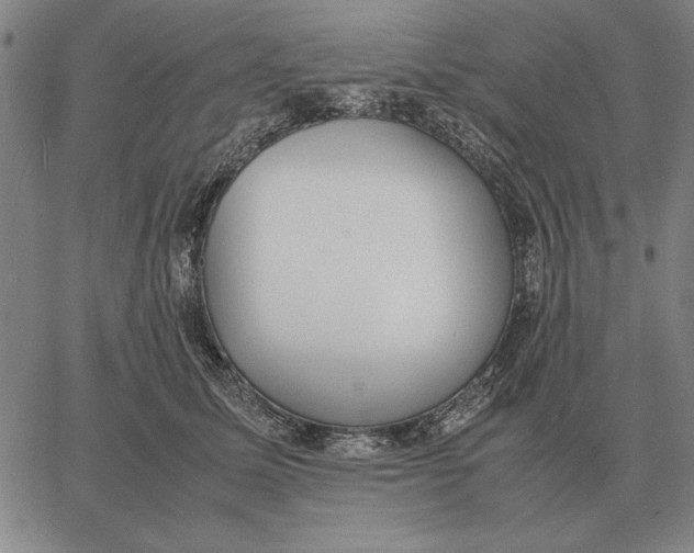 X0000061720611200512231410