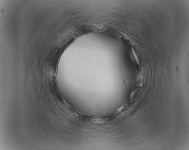 X0000061720613200512231410