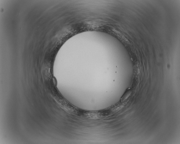 X0000061720615200512231410