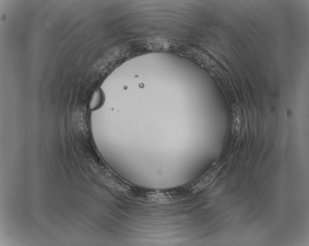 X0000061720616200512231410