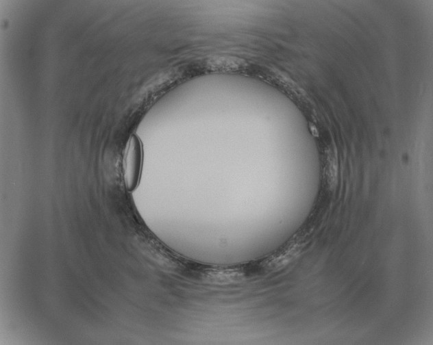 X0000061720619200512231410