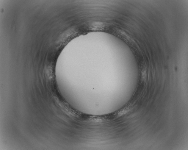 X0000061720620200512231410