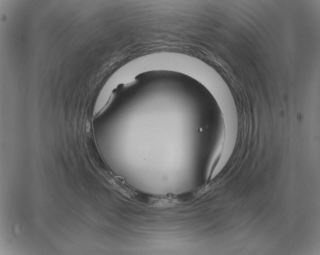 X0000061720621200512231410