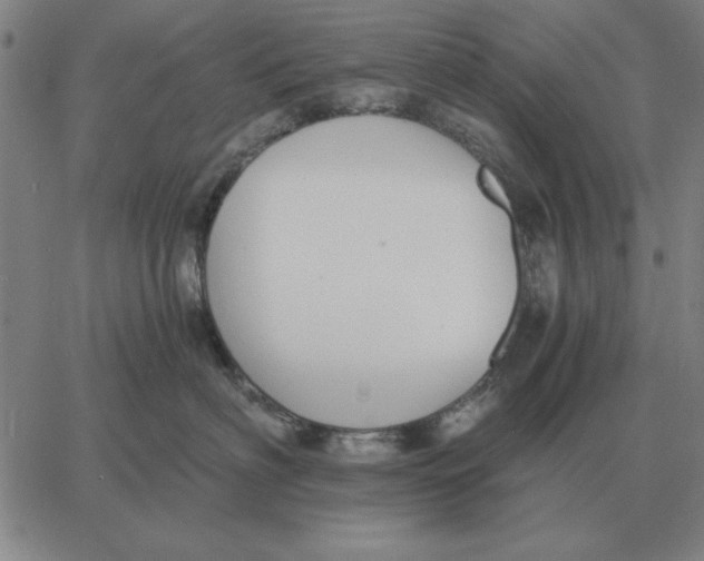 X0000061720622200512231410