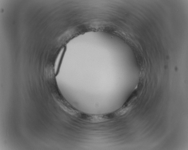 X0000061720623200512231410