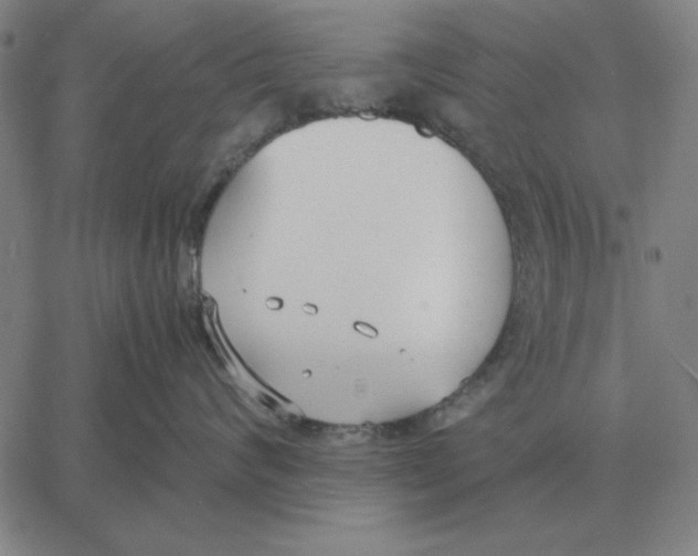 X0000061720624200512231410