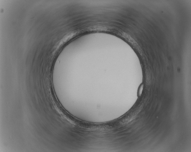 X0000061720625200512231409