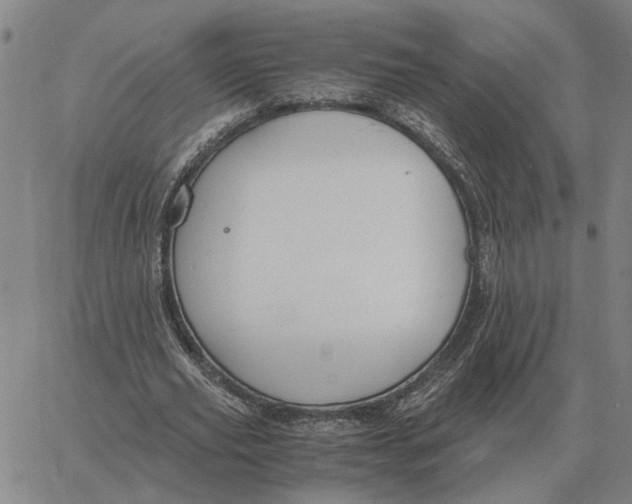 X0000061720629200512231409