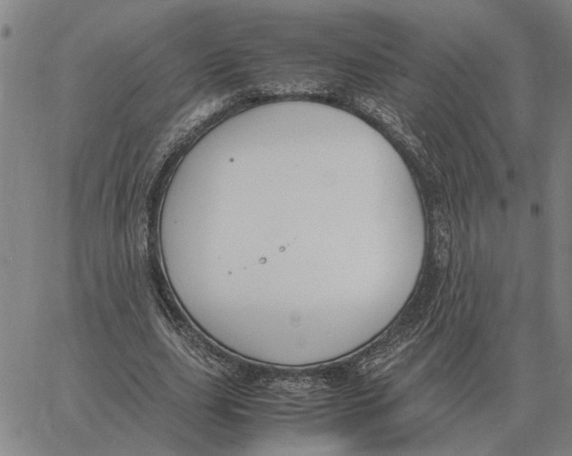 X0000061720631200512231409