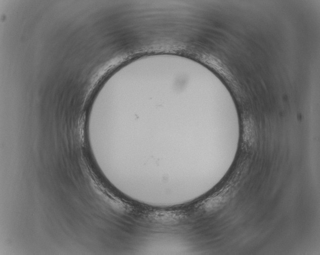 X0000061720632200512231409