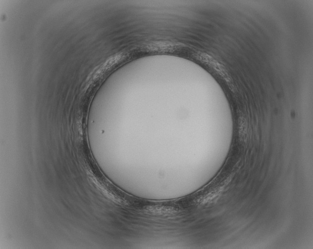 X0000061720633200512231409