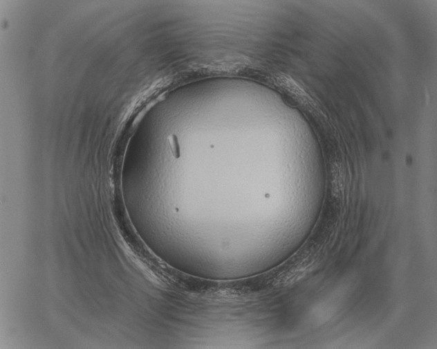 X0000061720634200512231409