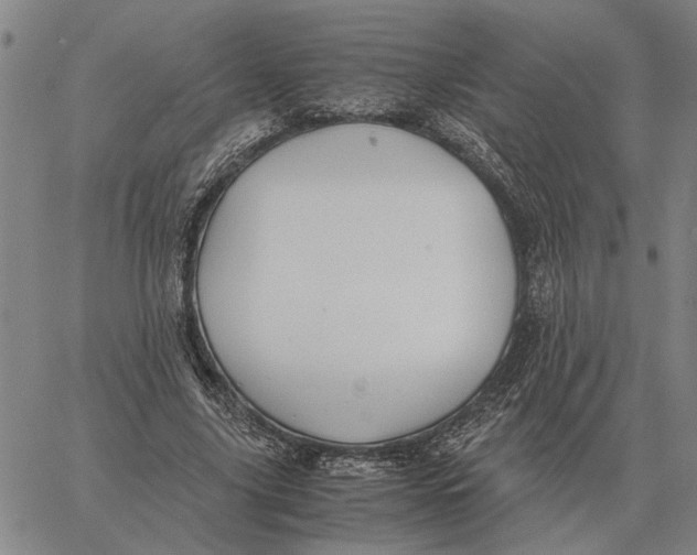 X0000061720635200512231409