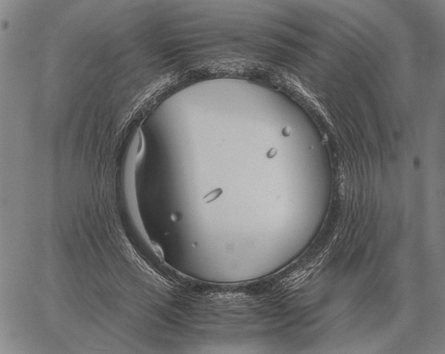 X0000061720637200512231409