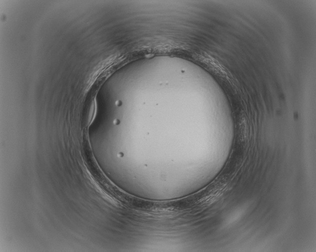 X0000061720638200512231409