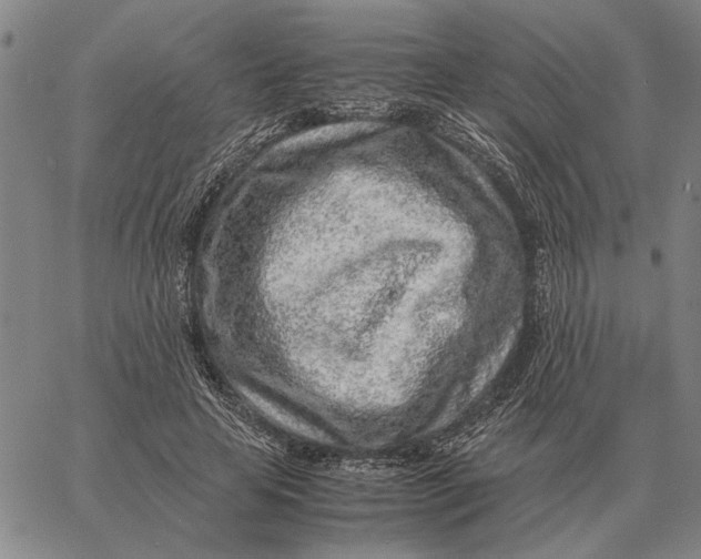 X0000061720641200512231409