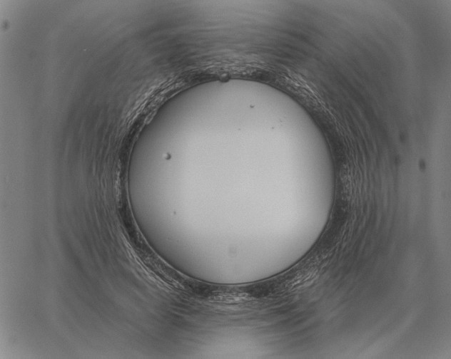 X0000061720642200512231409