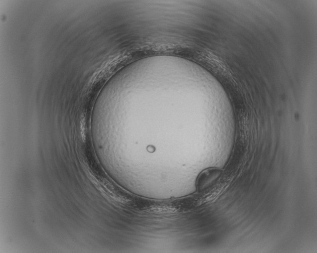 X0000061720644200512231409