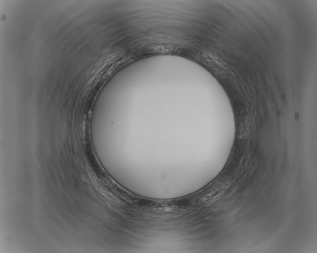 X0000061720646200512231409